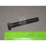 Болт М12х80х1,75 шестигранний (1кг = 1 компл) ГОСТ 7805-70 (в-во Україна) 