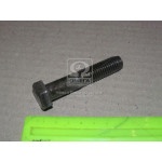 Болт М14х70х2,0 шестигранний (1кг = 1 компл) DIN 931 ГОСТ 7805-70 (в-во Україна) 