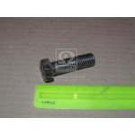 Болт М16х50х2,0 шестигранний (1кг = 1 компл) ГОСТ 7805-08 (в-во Україна) 