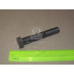 Болт М16х100х2,0 шестигранний (1кг = 1 компл) ГОСТ 7805-70 (в-во Україна) 