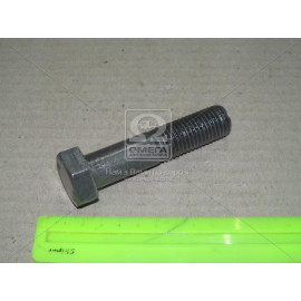 Болт М20х90х2,5 шестигранний (1кг = 1 компл) ГОСТ 7805-70 (в-во Україна)