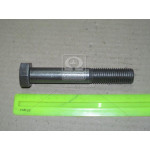 Болт М20х130х2,5 шестигранний (1кг = 1 компл) ГОСТ 7805-70 (в-во Україна) 