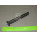 Болт М20х150х2,5 шестигранний (1кг = 1 компл) ГОСТ 7805-70 (в-во Україна) 