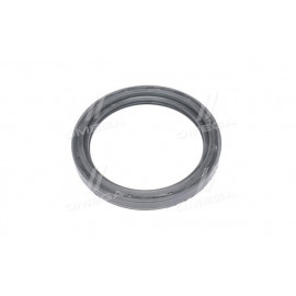 Сальник черевика балансира КАМАЗ з пружиною (117)