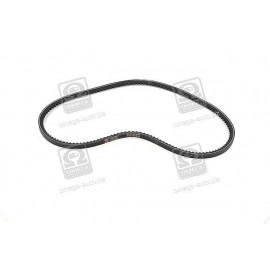 Ремінь 10х8х938 зубч. насоса вод. + генератора ВАЗ <ДК>