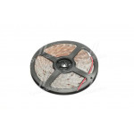 Гнучка світлодіод. стрічка 300 SMD 5050, 5м; 8мм*2,7мм, вологостійка, біла (ви-во Китай) 