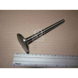 Клапан впускний Д-240, 243, 245 (ТМ JUBANA)