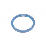 Сальник вала колінчатого МАЗ 140х170х13 (синій) (вир-во Україна) 