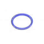 Сальник вала колінчатого МАЗ 140х170х13 (ФТОРсилікон синій) (вир-во Україна) 