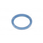 Сальник башмака балансиру КАМАЗ (117) з пруж. (синій) (вир-во Україна) 