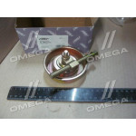 Ролик ГУР CHERY TIGGO  (RIDER) 