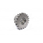 Шестерні заднього. ХОДУ з / о (Про-під ZFauto) 