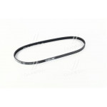 Поликлиновий ремінь BMW X5 (E70) 3.0 si 02/06-09/08 (Ви-во Contitech) 