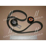 Комплект ременя ГРМ CITROEN BERLINGO (B9) 1.6 HDi 07/10-  (Ви-во Contitech) 