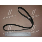 Ремінь поліклиновий (Ви-во DAYCO) 