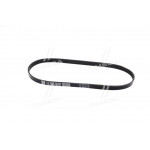 Ремінь поліклиновий (Ви-во DAYCO) 