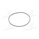 Ремінь А 1000 (вир-во ЯРТ) 