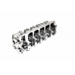 Головка блоку циліндрів VAG 2,5TDI T5 AXD, AXE, BAC, BLJ (вир-во SM) 