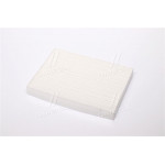 Фільтр салону NISSAN X-TRAIL III 14-, RENAULT LODGY 12- (вир-во ALPHA FILTER) 