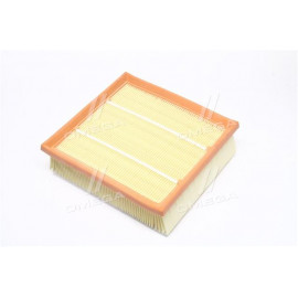 Фільтр повітряний FIAT DOBLO, OPEL COMBO 1.6, 2.0 D 10- (вир-во ALPHA FILTER)