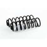 Пружини Chery Amulet задні (к-т 2 шт.) (В-во Фобос) 