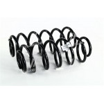 Пружини Geely MK задні (к-т 2 шт.) (В-во Фобос) 