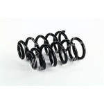 Пружини Honda CR-V (6 / 02-07) задні (к-т 2 шт.) (В-во Фобос) 