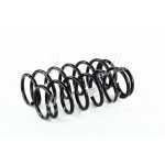 Пружини Daewoo Matiz задні (к-т 2 шт.) (В-во Фобос) 