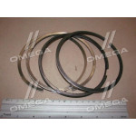 Кільце порш. А-01М, А-41  П/К (вир-во СТАПРІ) 