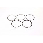 Кільце порш. А-01М, А-41 (5 кіл.) П/К (вир-во СТАПРІ) 