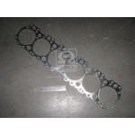 Прокладка головки блоку Д 260 (вир-во Росія) 