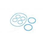 Ремкомплект системи охолодження (3 найменувань., Синій, ЄВРО 2) гума NBR (ПРЕМІУМ класу) 