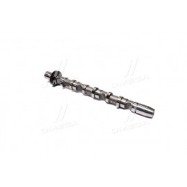 Розподільчий вал VAG 2,5TDI BAU / BCZ / BDG / BND / BDH 1-3 IN (пр-во AE)