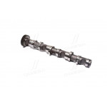 Розподільчий вал VAG 2,5TDI BAU / BCZ / BDG / BND / BDH 4-6 EX (пр-во AE) 