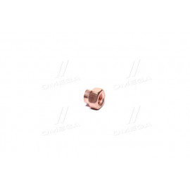 Гайка омедн. колектора