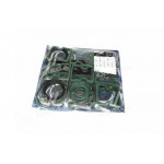 Р/к двигуна КамАЗ Євро-2 Повний, Експерт, (43 найм.), зел. силікон (МД Кострома) 