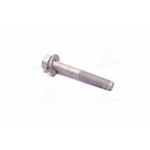 Болт заднього нижнього важеля DAEWOO/CHEVROLET CAPTIVA (вир-во GM) 