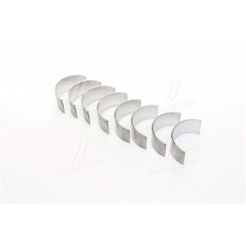 Вкладиші шатунні Н2  Д 245.35 Euro4 (вир-во Дайдо Металл Русь)