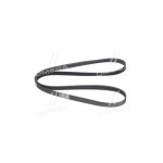 Поликлиновой ремінь (Вр-во ContiTech) 