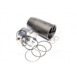 Гільзо-комплект  Д 260.Е2 (ГП + кіль. + пал.+ущiл.) пал.42 мм (Грузовичок) (гр.С) (МОТОРДЕТАЛЬ)