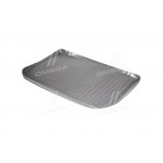 Килимок в багажник RENAULT Clio III 2005 ->, хб. (поліуретан) (вир-во NOVLINE) 