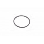 Кільце мастильного фільтру ЄВРО (вир-во Росія, КАМРТИ) 