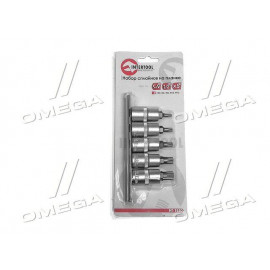 Набор сплайнов на планке М5,6,8,10,12 - 1/2", 5ед.(про-во INTERTOOL)