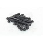 Болт головки БЛОКУ (КОМПЛЕКТ) TOYOTA / VW 2L/2L-T/3L (вир-во Elring) 