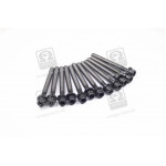 Болт головки блока (компл.) VAG 2.4D/2.5D/TD (5CYL) BJJ/BJK/BJL/BJM (пр-во Elring) 