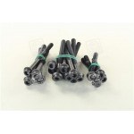 Болт головки блоку 