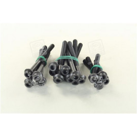 Болт головки блоку