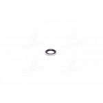 Прокладення трубопроводу T250/T300 (вир-во GM) 