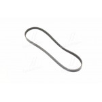 РеміньполиклиновойT100 (вир-воGMKorea) 