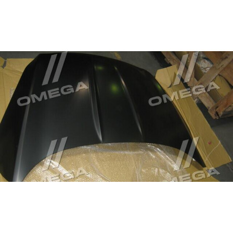 Капот FORD KUGA / ESCAPE 13-16 (TEMPEST)